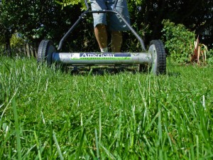 rotary-mower rotary mower