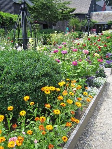 raisedbeds raised garden bed with perennial flowers
